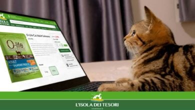 Discover the Best for Your Furry Friends at L'Isola dei Tesori